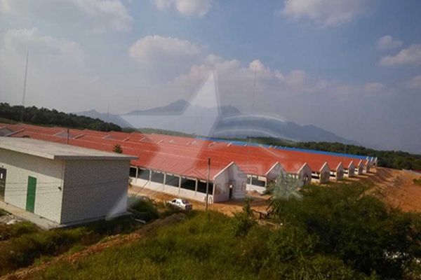 邯鄲建材市場什么樣的樹脂瓦質量好